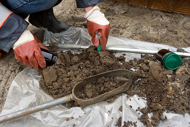 campioni del suolo - dirt scientific experiment soil sample environment foto e immagini stock