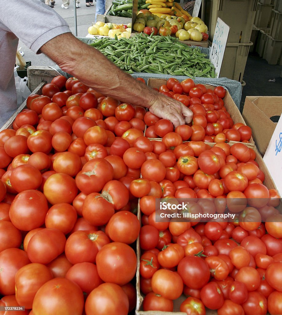Tomates shopping légumes du marché de la ville de New York - Photo de Adulte libre de droits