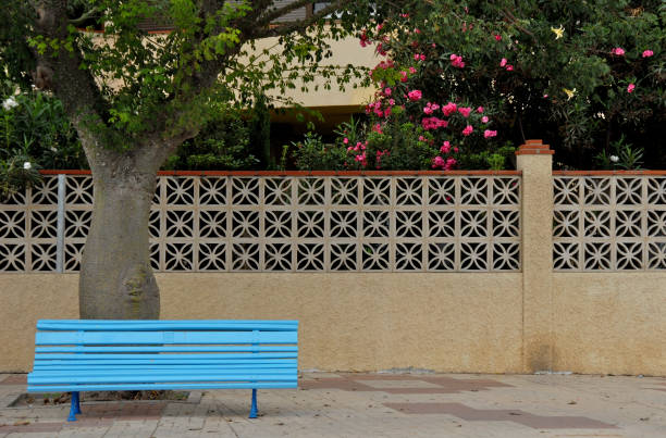istock Blue Bench at Pink Flowers 172378515