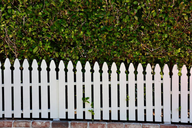 istock Old fashioned white wood picket fence 1723785402