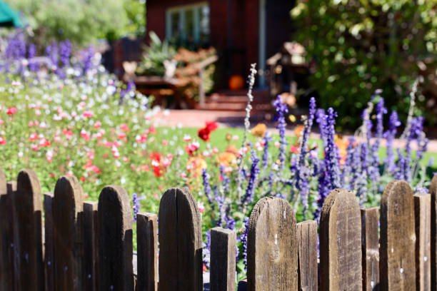 istock Rustic wood picket fence with brightly colored wildflowers in sunlight 1723785437