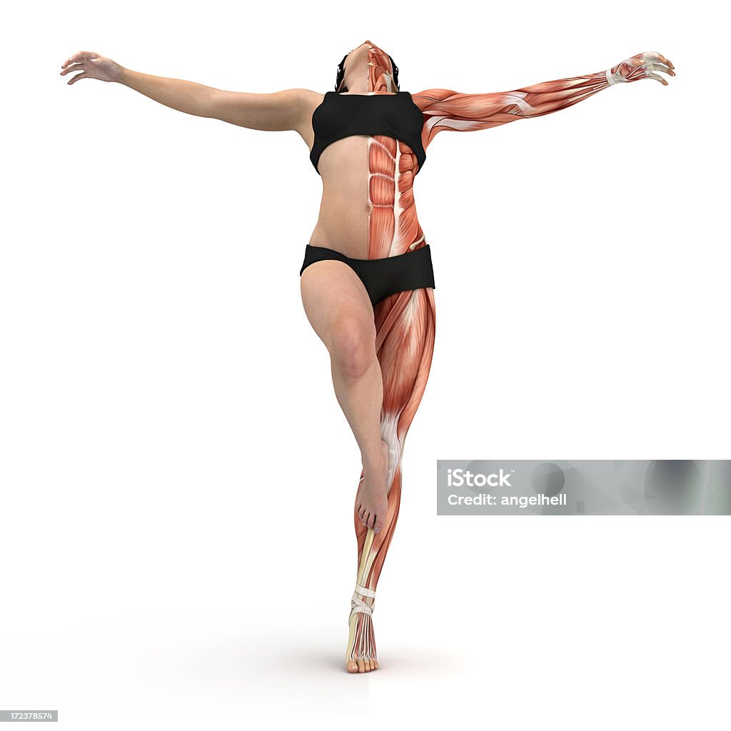 Giovane donna in equilibrio su una gamba, con i muscoli - Foto stock royalty-free di Anatomia umana