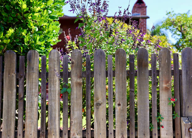 istock Rustic wood picket fence with brightly colored wildflowers in sunlight 1723785974