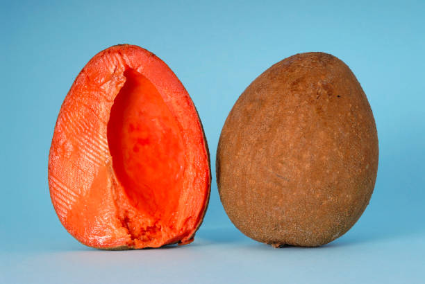 Tropikalny sapote – zdjęcie