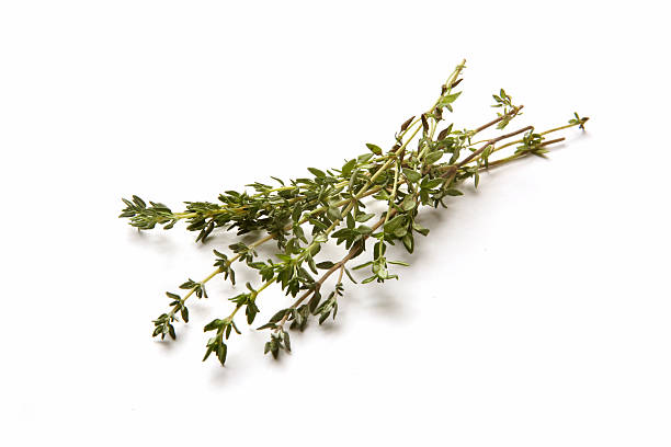 fresh herbs: thyme - tijm stockfoto's en -beelden