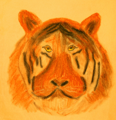 Image of a tiger drawn with chalk.  I drew this when I was a young boy.