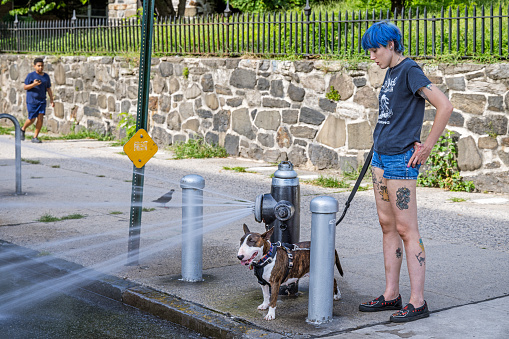 Broadway, Manhattan, New York, USA - August 22th 2023:  Tattooed young woman with a bully breed dog beside an open fire hydrant on a street corner in the northern end of Broadway