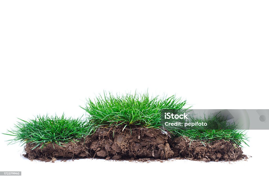 表彰台の緑の芝生 - 壇のロイヤリティフリーストックフォト