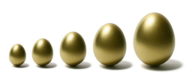 istock Gold Eggs Grow from Small to Large on White Background 172380194