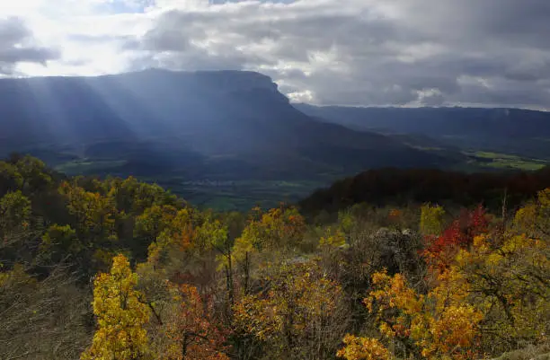 Photo of Forest with autumn colors, red and yellow colors in the Aralar mountain range, Navarra, Spain.