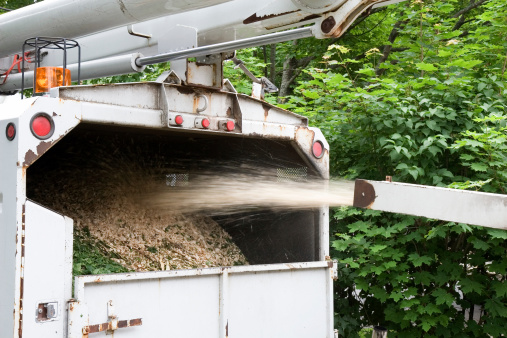 A wood chipper sprays chips and debris into a truck.See more like this in my Landscapers lightbox.
