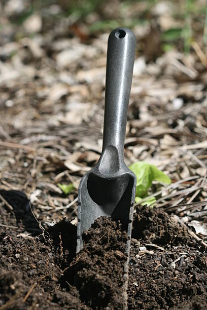 istock trowel digging in the dirt 172380869