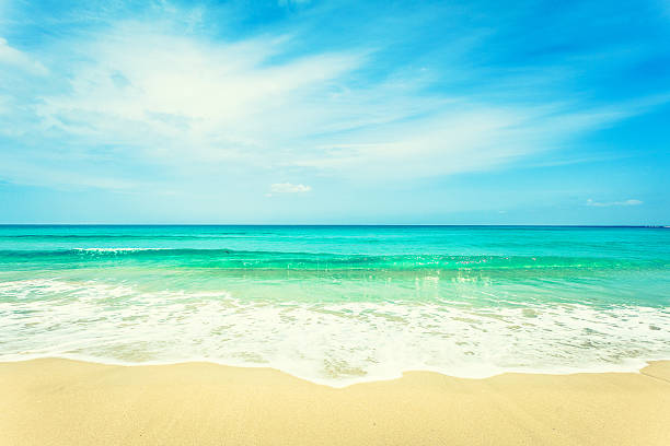 istock Beautiful Tropical Beach and Ocean 172381028
