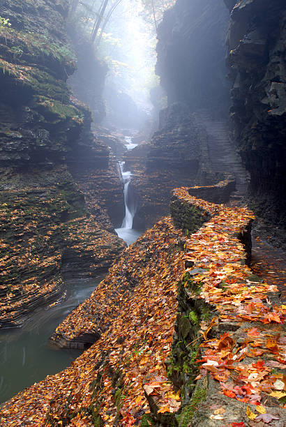 misty cascata em watkins glen - valley mount watkins autumn falling imagens e fotografias de stock