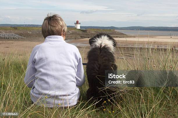 Perro Pastor Cruce En La Playa Con El Propietario A La Izquierda Foto de stock y más banco de imágenes de Adulto