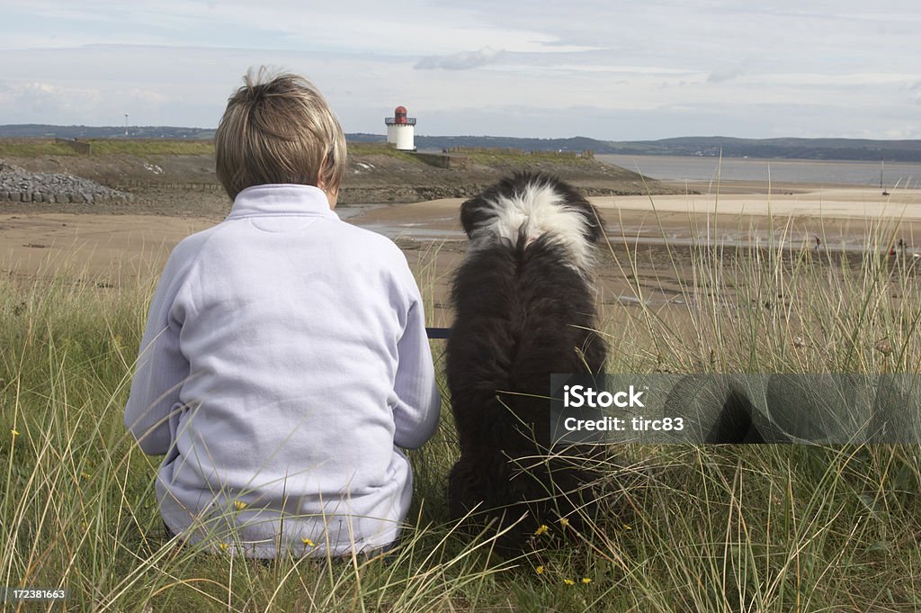 Chien de berger croisées sur la plage avec le propriétaire gauche - Photo de Adulte libre de droits