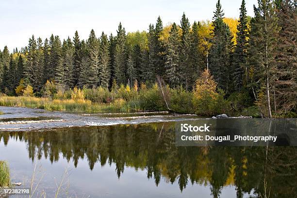 Río Y Los Reflejos Del Norte Foto de stock y más banco de imágenes de Saskatchewan - Saskatchewan, Norte, Bosque boreal