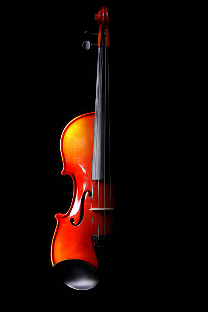 istock Half of a violin in black background 172382259