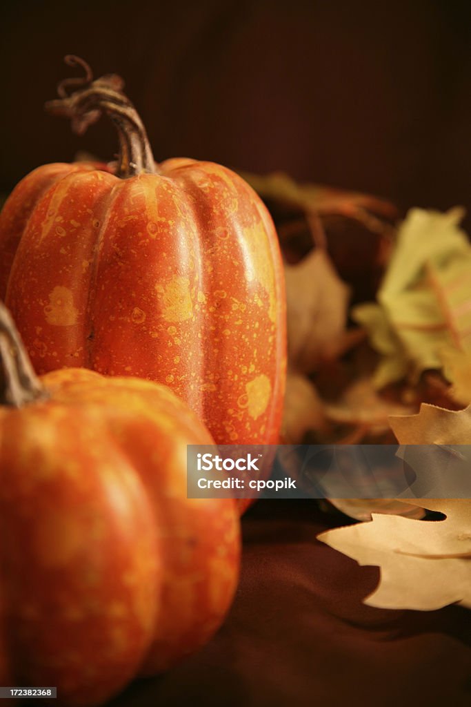 Thanksgiving pumpkins A close up of two orange fall pumpkins against leaves and a brown background Autumn Stock Photo