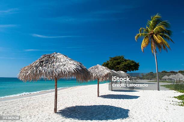 Beach Umbrellas And Coconut Tree Stock Photo - Download Image Now - Varadero, Cuba, Varadero Beach