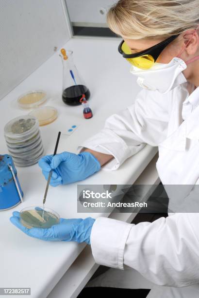 Sterile Laboratory Workplace Stock Photo - Download Image Now - 20-29 Years, Adult, Adults Only