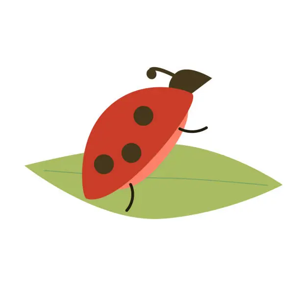 Vector illustration of funny bug on a green leaf stands on its hind legs