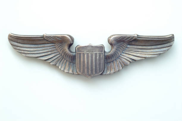 ailes insigne - wing insignia metal silver photos et images de collection