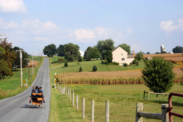 Amish horse cart on a country road in Pennsylvania stock photo