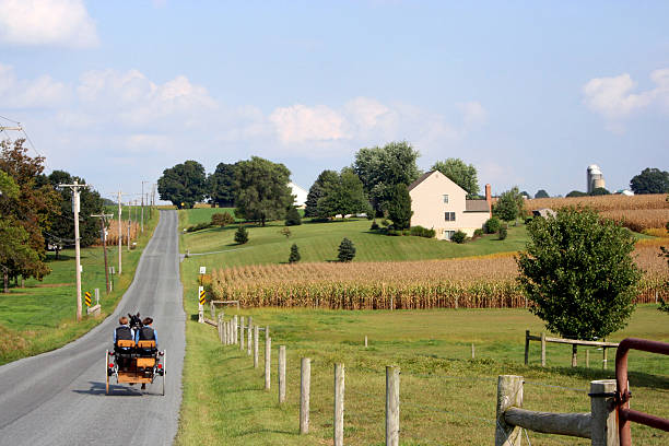 Uma carroça no Amish country road na Pensilvânia - foto de acervo