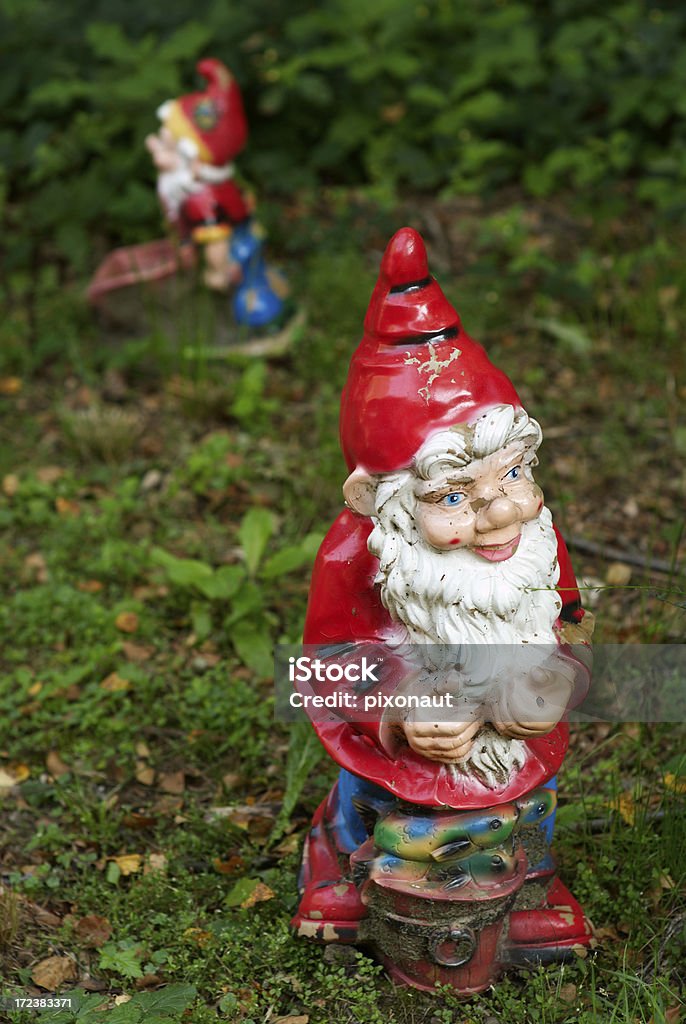 Gnomes le jardin - Photo de Adulte libre de droits