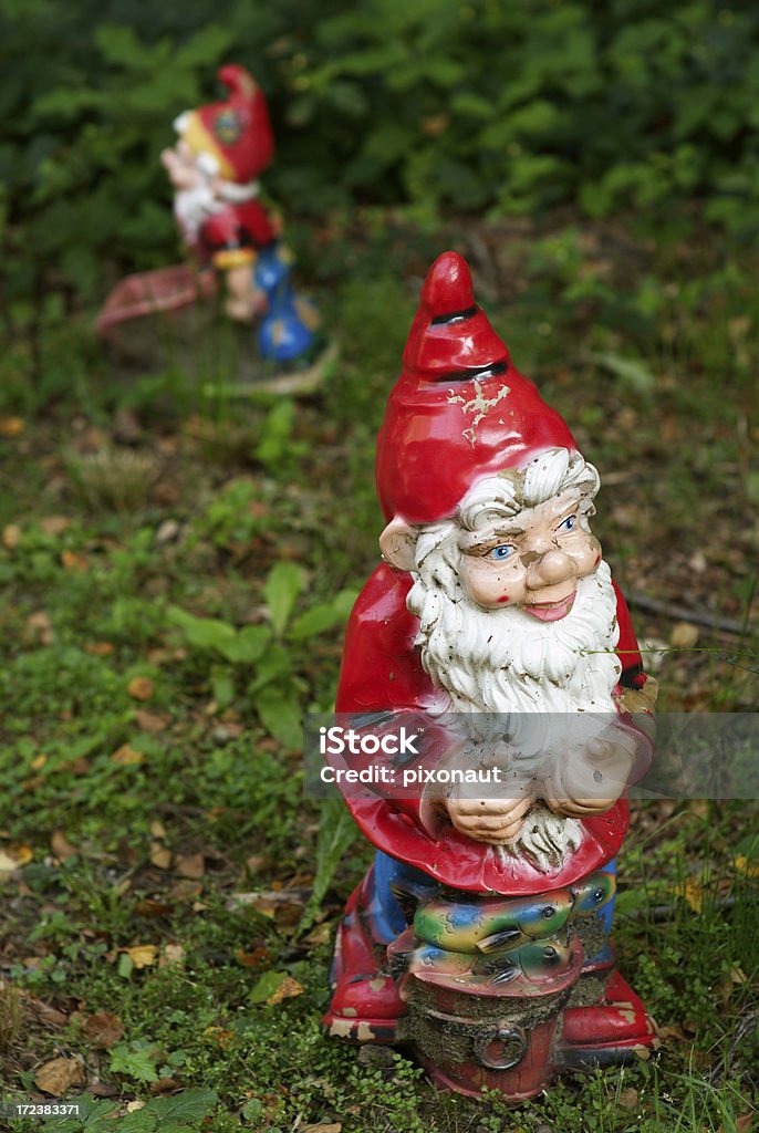 ガーデン Gnomes - あごヒゲのロイヤリティフリーストックフォト