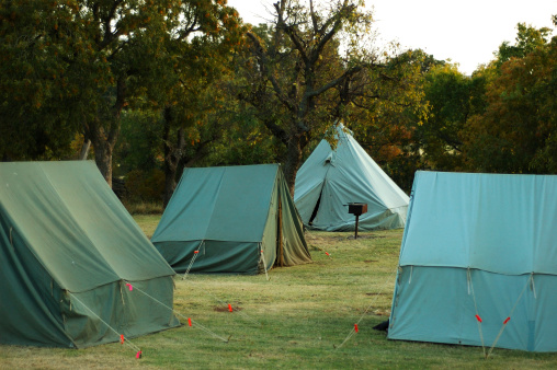 These pup tents are a part of a larger group of tents set up by Boy Scouts.