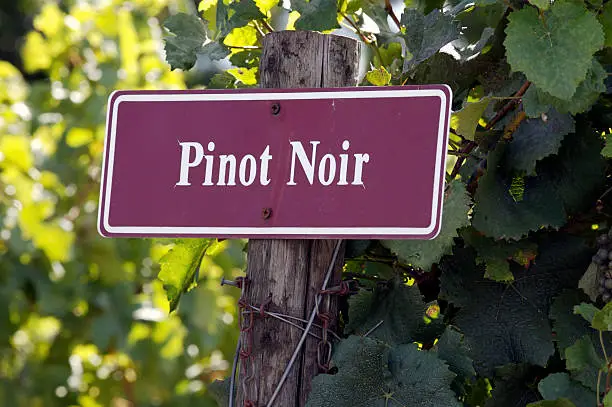 Vineyard sign