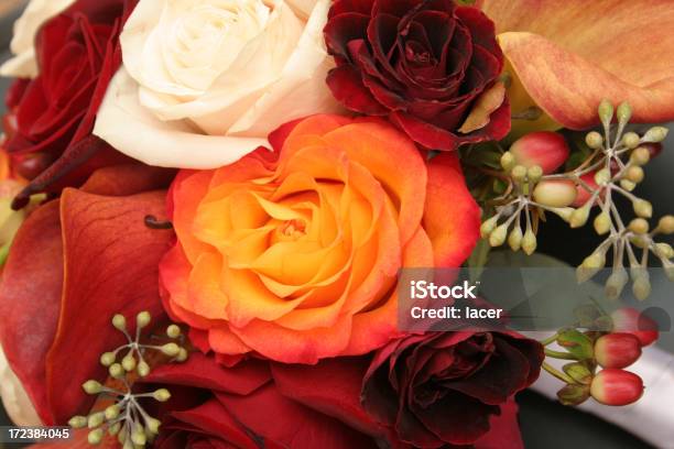 Herbstbouquet Nahaufnahme Stockfoto und mehr Bilder von Herbst - Herbst, Trauung, Beere - Pflanzenbestandteile