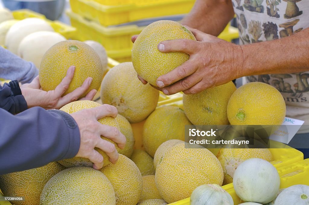 Farmer presenta hombre mejor en el mercado de agricultores de melón cantalupo - Foto de stock de Melón Cantalupo libre de derechos