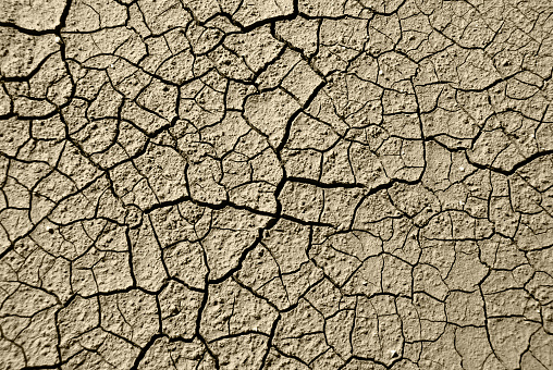 Background of a cracked and dried earth.