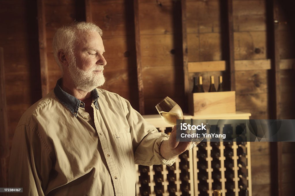 RADWinemaker degustação e estudando copo de vinho branco na adega - Foto de stock de Artesão royalty-free