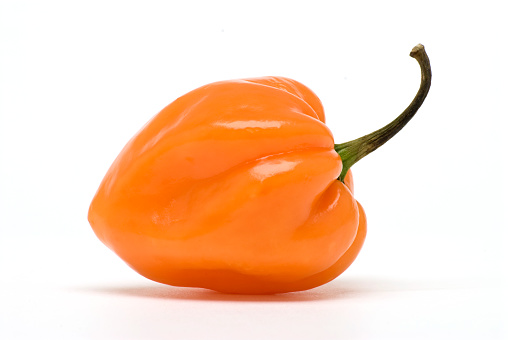 A perfectly fresh habanero pepper isolated on white.Click on the banner below to see more photos like this.