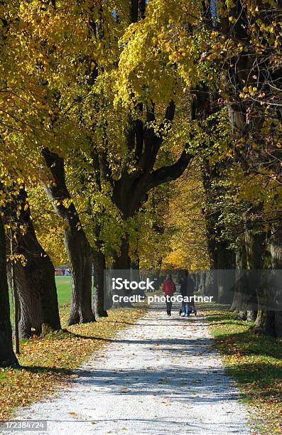 Otoño Avenue A Foto de stock y más banco de imágenes de Andar - Andar, Cochecito para niños, Aburrimiento