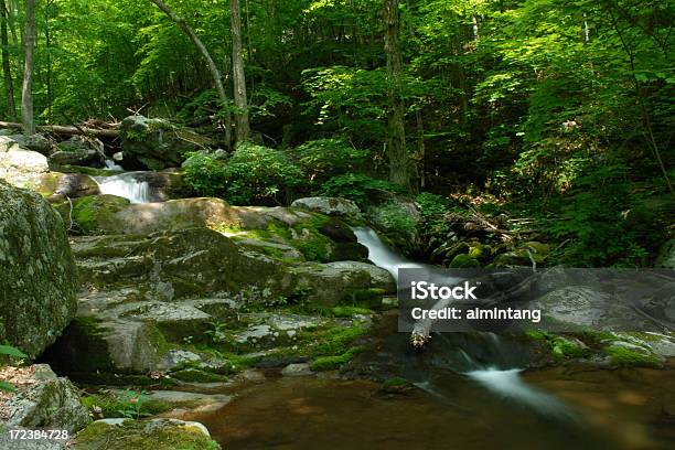 Foresta Del Parco Nazionale Di Shenandoah - Fotografie stock e altre immagini di Acqua - Acqua, Acqua fluente, Albero