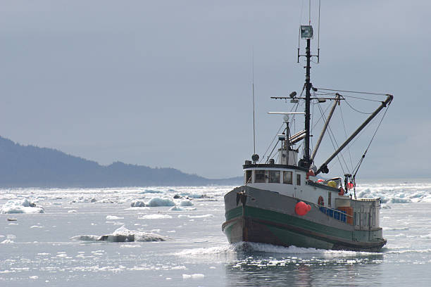 Fishing Trawler in Ice Filled Alaskan Water Fishing boat cruising in icy water. prince william sound photos stock pictures, royalty-free photos & images