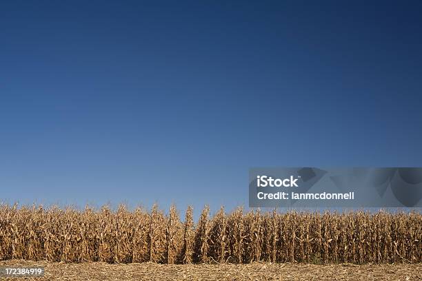 Croppedhosen Stockfoto und mehr Bilder von Ausgedörrt - Ausgedörrt, Blau, Feld