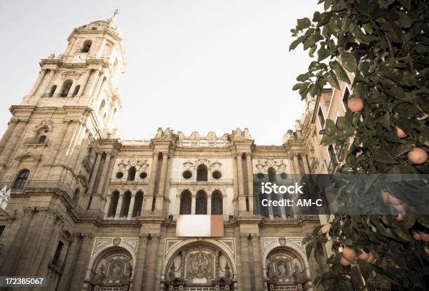 マラガ大聖堂スペインアンダルシアの - Málaga Cathedralのストックフォトや画像を多数ご用意 - Málaga Cathedral, アンダルシア州, スペイン