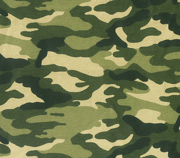 abstrakte bild von grüne camouflage - camouflage stock-fotos und bilder