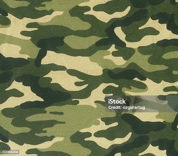 抽象的なイメージのグリーンのカモフラージュ - 擬態のストックフォトや画像を多数ご用意 - 擬態, 迷彩柄, 軍隊