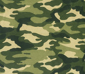 Abstract image of green camouflage