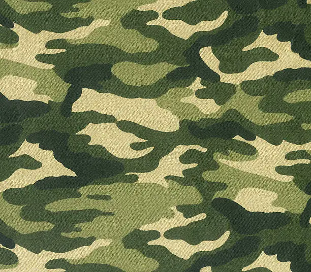 This is a picture of a camouflage scanned in flatbed scanner.