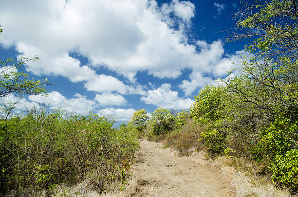 istock dirt road in idyllic landscape 172385374