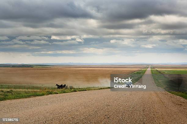 Rural Road South Dakota - サウスダコタ州のストックフォトや画像を多数ご用意 - サウスダコタ州, ブラックヒルズ, 運転する