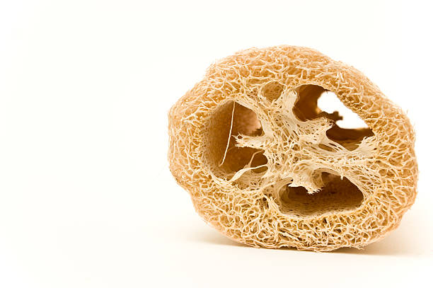 Loofah 2 a loofah on a white background loofah photos stock pictures, royalty-free photos & images